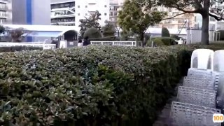国家线一区二区🈲亚洲成人视频av🈲无码H黄肉动漫APP下载